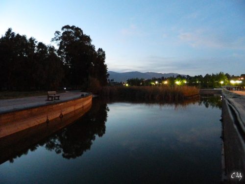 DSCN5757