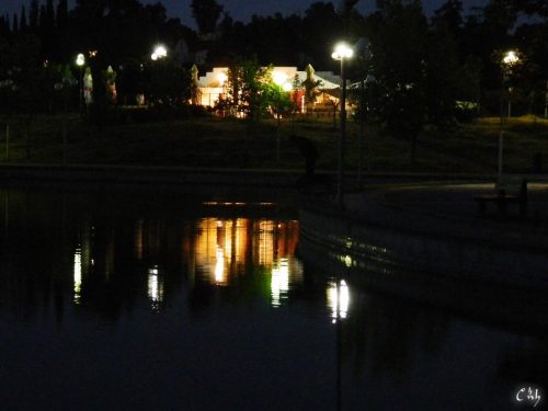 DSCN5767