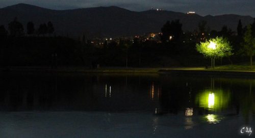 DSCN5769