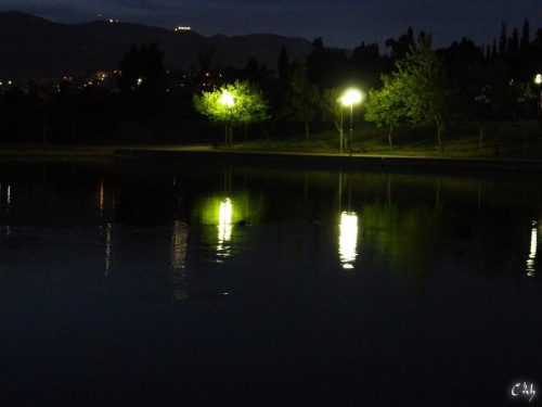 DSCN5771