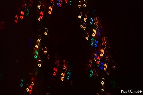 DSC 0036V