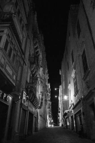 DSC 0292