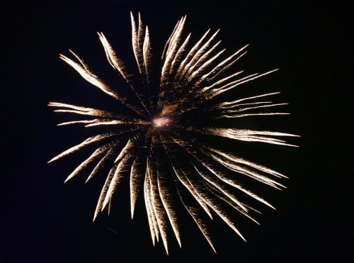 DSC 0337