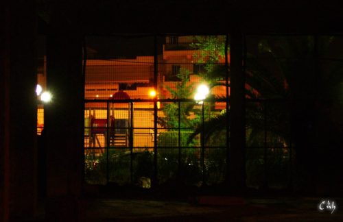 DIGITAL CAMERA