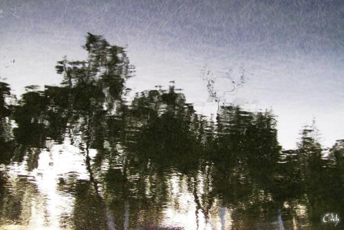 DIGITAL CAMERA
