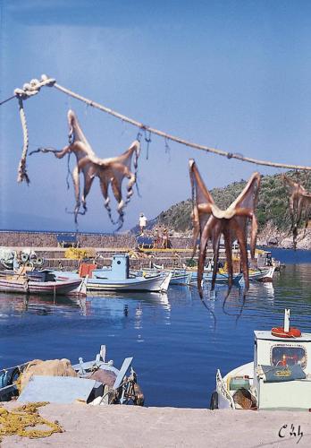 lesvos03