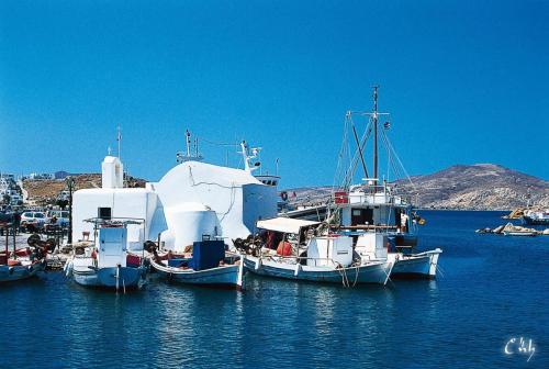 paros23