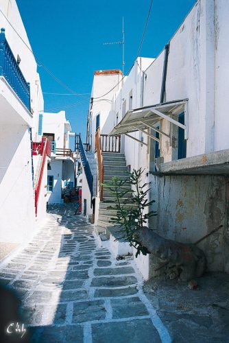 paros29